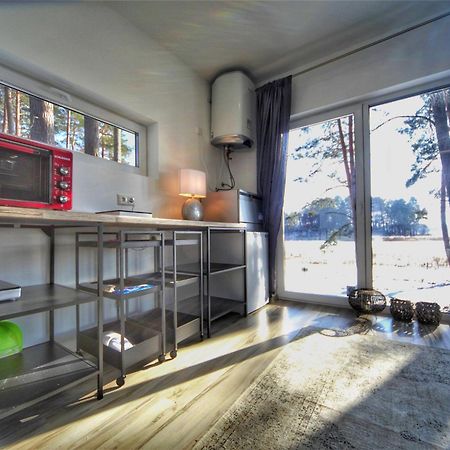 Gaujaclub - Our Bose And Bang&Olufsen Lofts On A Lake Gauja  Extérieur photo