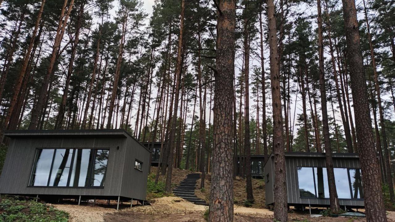 Gaujaclub - Our Bose And Bang&Olufsen Lofts On A Lake Gauja  Extérieur photo
