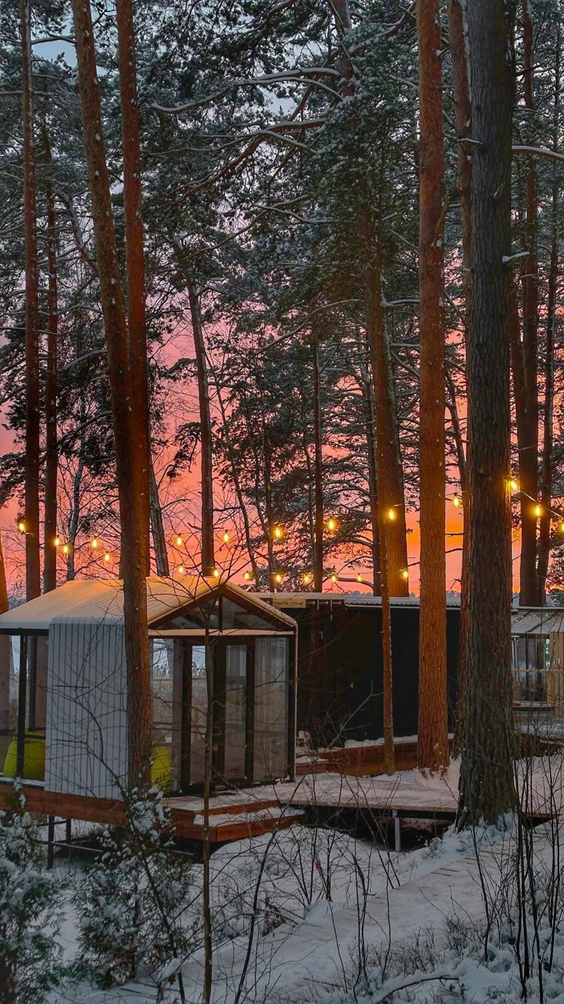 Gaujaclub - Our Bose And Bang&Olufsen Lofts On A Lake Gauja  Extérieur photo
