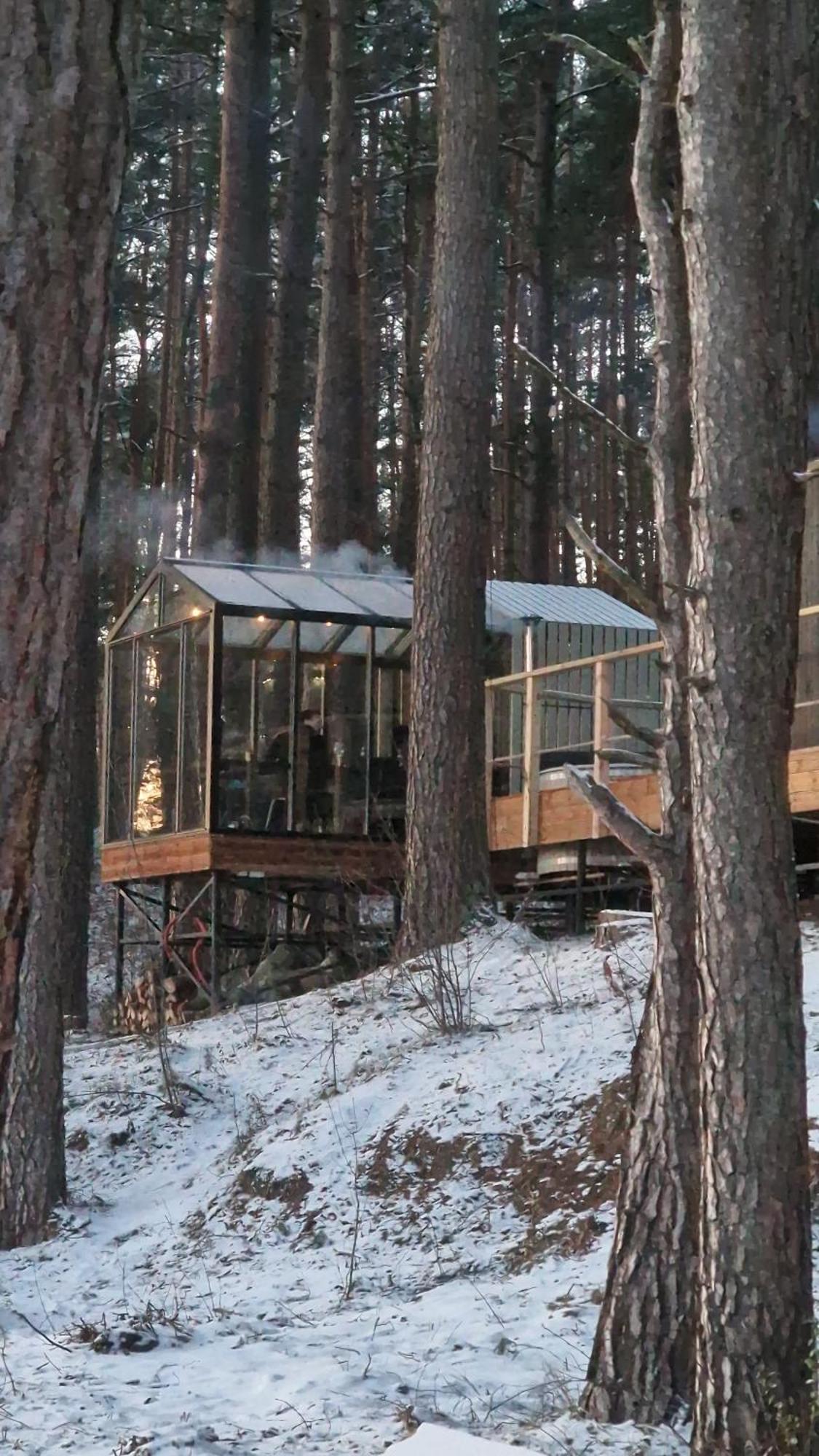 Gaujaclub - Our Bose And Bang&Olufsen Lofts On A Lake Gauja  Extérieur photo