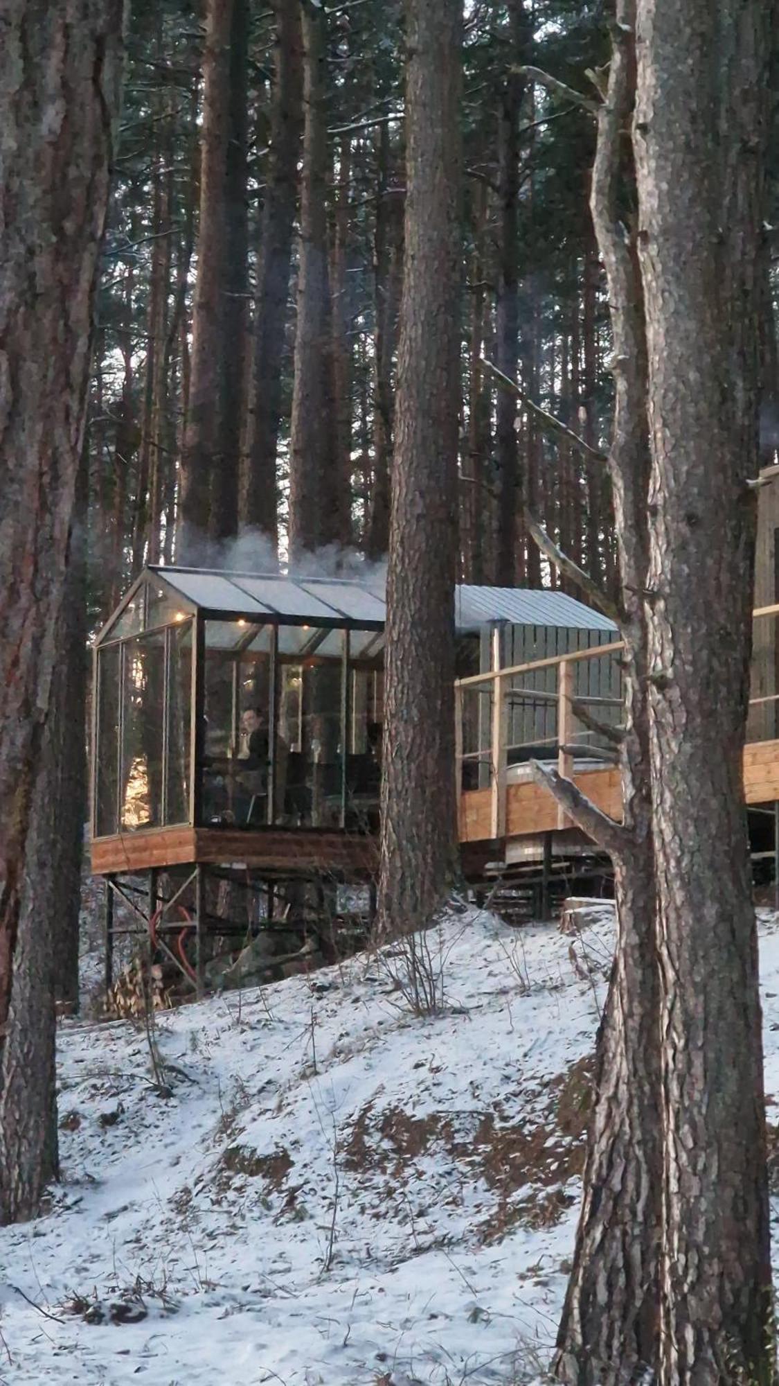 Gaujaclub - Our Bose And Bang&Olufsen Lofts On A Lake Gauja  Extérieur photo